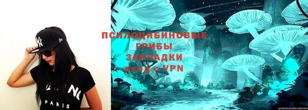 МДПВ Абинск