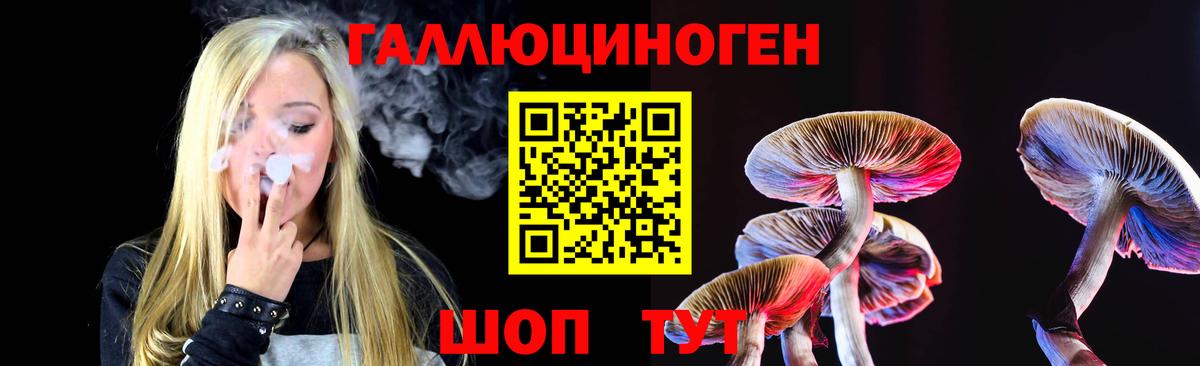 Псилоцибиновые грибы Psilocybe  наркотики  Алатырь  Вход с VPN 